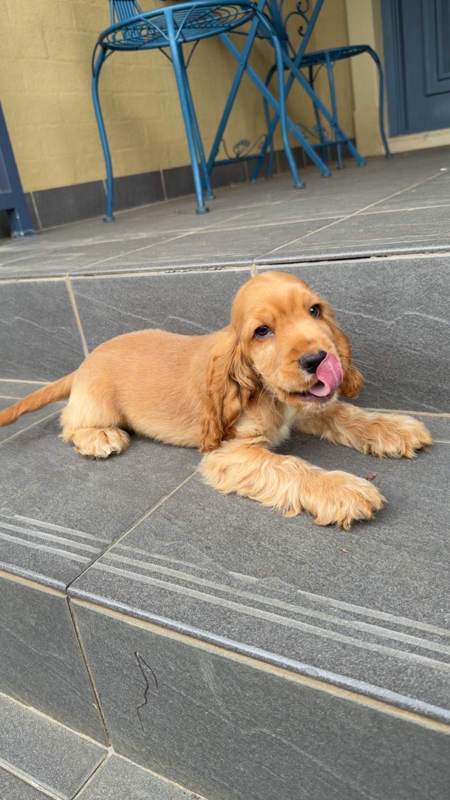 cf8f5439-b0be-46d3-8a1e-087dba540214