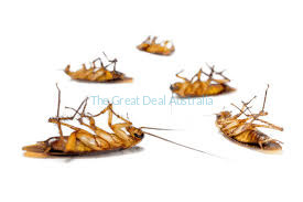 economy pest